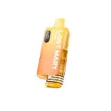 BM6000 Fruit Punch Prefilled Pod Kit | Vape Jucce UK